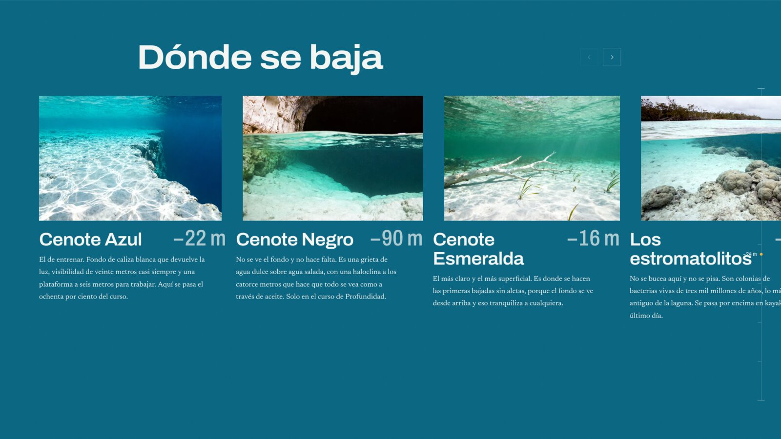 Captura 4 de BRAZA — Escuela de apnea